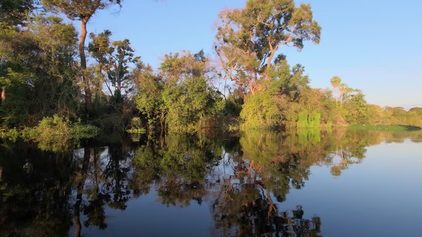 Lush green scenery of the Pantanal wetlands with perfect reflections in the water. Pocone, Mato Grosso do Sul, Brazil. Brazilian nature and wilderness.