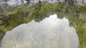 Camera moving along the surface of a rock pool at Ballintoy Northern Ireland with reflections on the surface of the water, and green algae weed plant life submerged below. - Powered by Shutterstock - Get 15% off with code: PIKWIZARD15