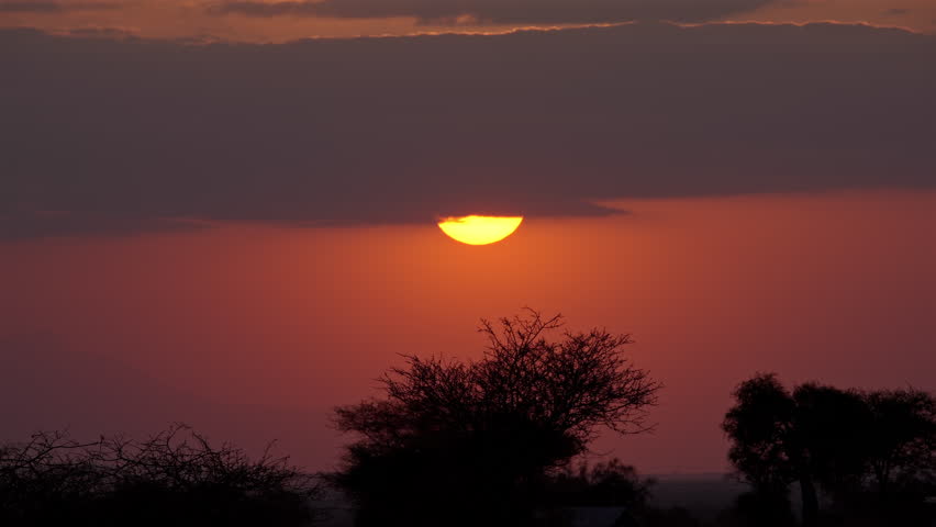 Sunset over African Savannah with Acacia Tree Silhouettes