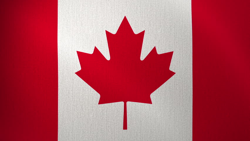 The Canadian flag flutters in the wind, with a looped background. The flag flutters in the wind. The concept of National Day and holidays in the country.