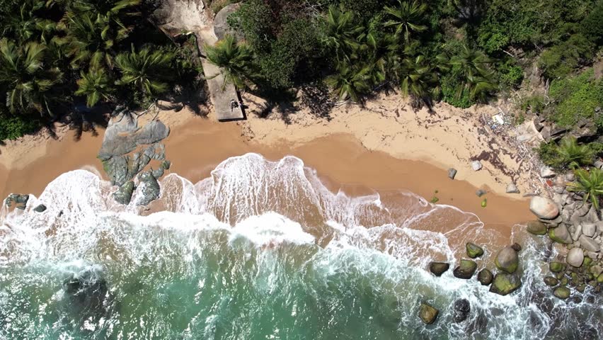 Beautiful tropical island with beach and coconut palm tree in Puerto Rico