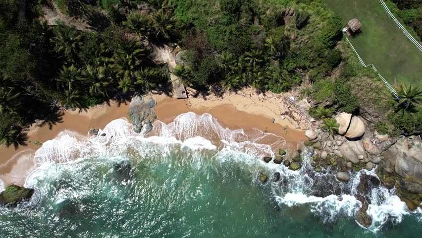 Beautiful tropical island with beach and coconut palm tree in Puerto Rico