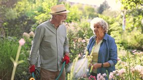 Senior couple working together in the garden on a sunny day
 - Powered by Shutterstock - Get 15% off with code: PIKWIZARD15