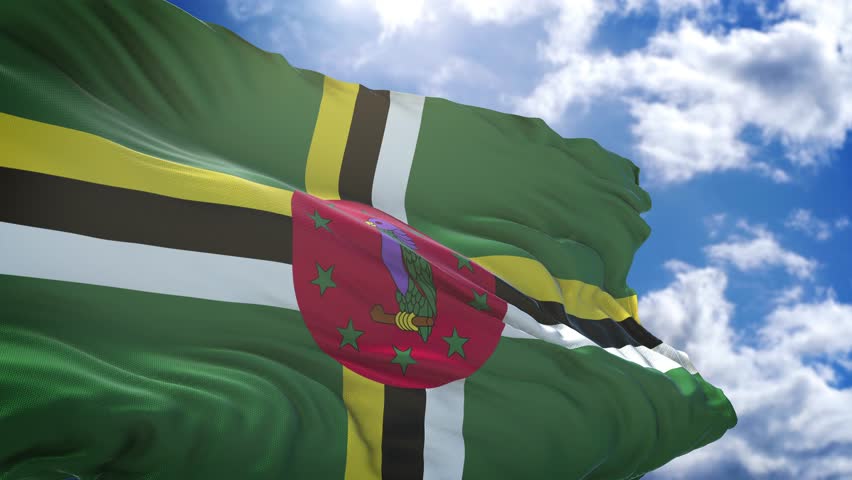 flag of Dominica. close up of dominican flag. dominican flag endless loop.