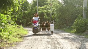 Dedicated animal shelter volunteer transporting six rescued dogs in custom built motorcycle sidecar, navigating scenic rural dirt road with passion for animal welfare and companionship - Powered by Shutterstock - Get 15% off with code: PIKWIZARD15