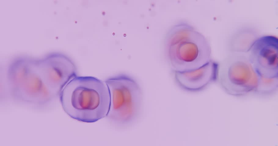Abstract microscopic view of cells with glowing nucleus and soft texture. Concept for biology, life, medicine, science, health, and innovation.