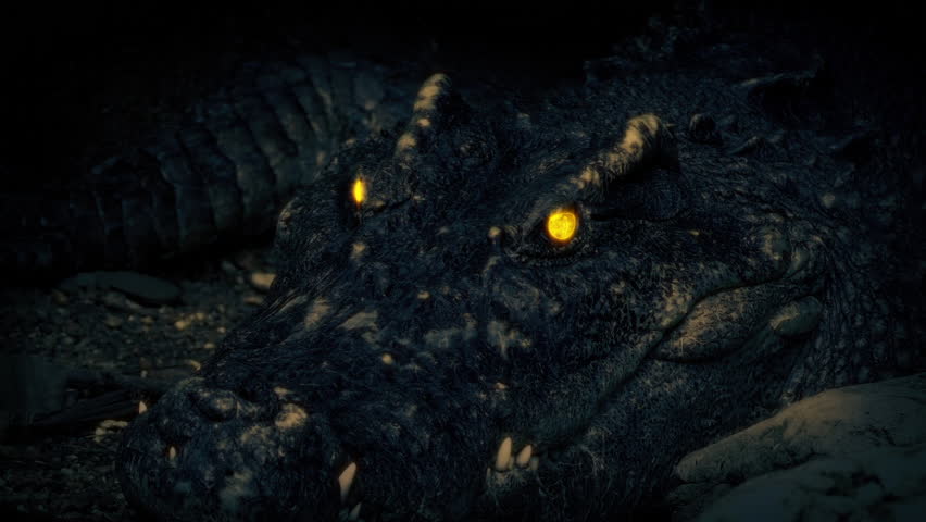 Big Crocodile Opens Mouth Dangerous Beast
