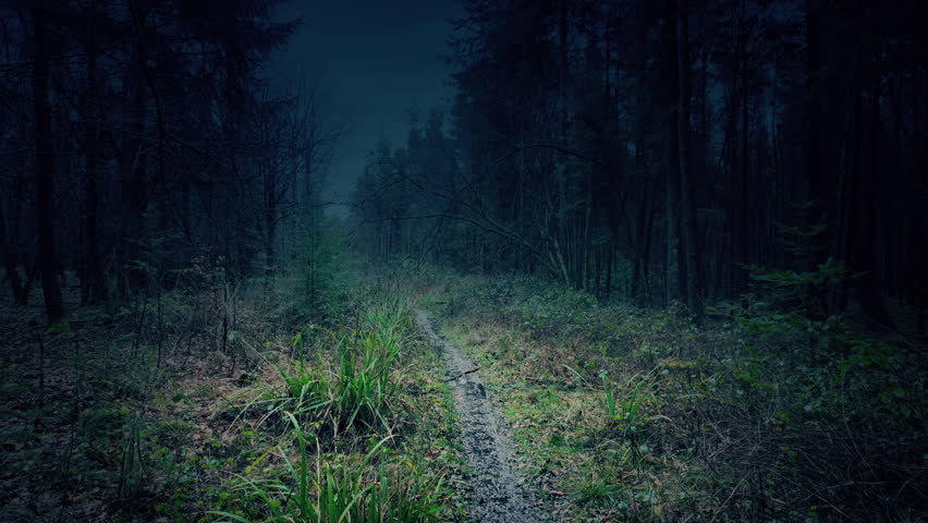 Forest Path In Dark Woods Strange Landscape
