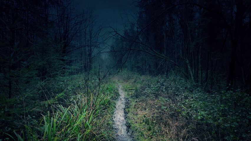 Forest Path In Dark Woods Strange Landscape
