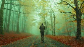 Lonely Man Walking In A Sad Autumn Landscape - Powered by Shutterstock - Get 15% off with code: PIKWIZARD15