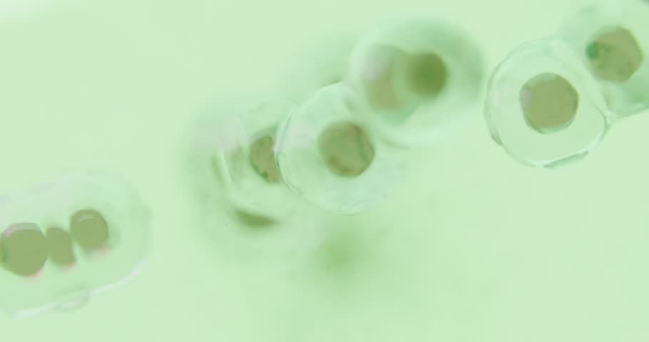 Detailed microscopic image of organic cells with red nucleus and transparent structure. Symbolic background for research, genetics, growth, and healthcare.