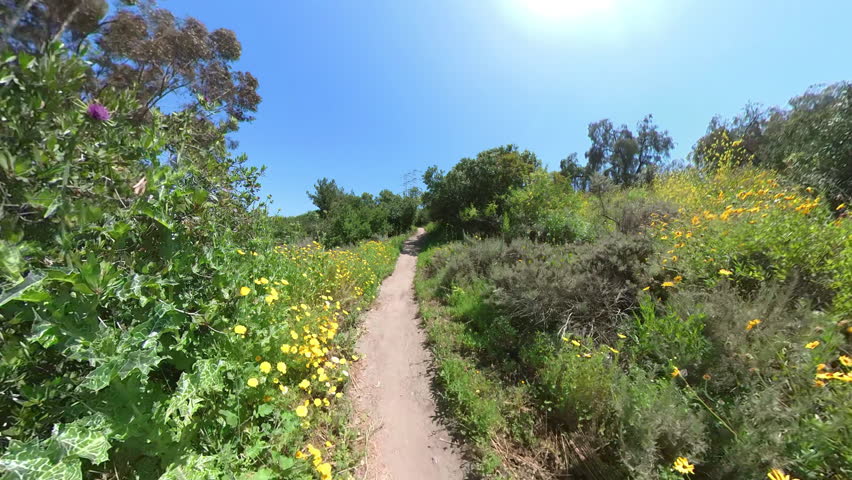 Kenneth Hahn Park Mountain Bike Forest POV Front View 04 California USA