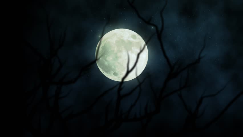 Dark animated scene with a glowing full moon behind creepy tree silhouettes. Perfect for Halloween, horror trailers, spooky intros, haunted house themes, and cinematic backgrounds.