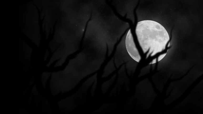 Dark animated scene with a glowing full moon behind creepy tree silhouettes. Perfect for Halloween, horror trailers, spooky intros, haunted house themes, and cinematic backgrounds.
