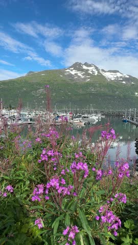 Whittier, Alaska, USA - August 23. 2025: Harbor in Whittier Alaska