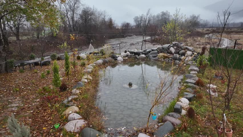 beautiful view of the river in the park