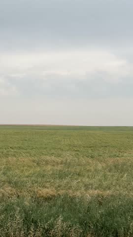 Driving through rural Alberta farmland with wide open agricultural fields, rustic fences, and prairie horizon views showcasing the peaceful countryside and farming lifestyle.