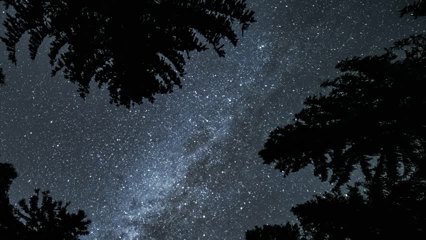 Night Sky with Milky Way Galaxy Above Forest Trees, Astronomy Space Time Lapse