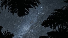 Night Sky with Milky Way Galaxy Above Forest Trees, Astronomy Space Time Lapse - Powered by Shutterstock - Get 15% off with code: PIKWIZARD15