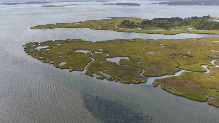Sinuous channels meander through a beautiful salt marsh on Cape Cod, Massachusetts. These natural carbon sinks are sheltered nurseries for wildlife and act as a buffer against storms and waves.