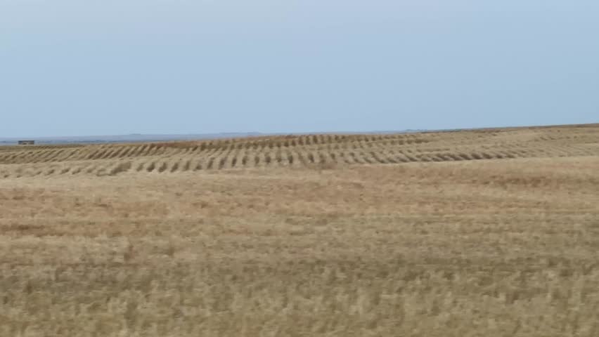 Scenic drive through agricultural farmland in Alberta with fences, open fields, and prairie horizon views capturing peaceful rural life and farming culture.