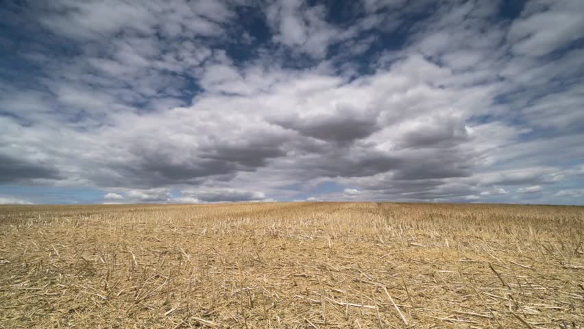 A harvested field under a cloudy sky shows the end of the season