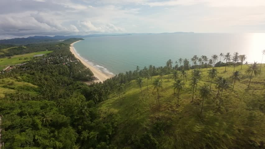 Dynamic FPV aerial drives down from grassy hills over coconut palms to the shoreline at Bato ni Ningning, San Vicente, Palawan, with an oblique view of Long Beach in gentle afternoon light.