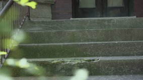 Old weathered concrete stairs at entrance of residential house. Surface with cracks, moss growth. Urban decay, old architecture, repair needs, time-worn structures - Powered by Shutterstock - Get 15% off with code: PIKWIZARD15