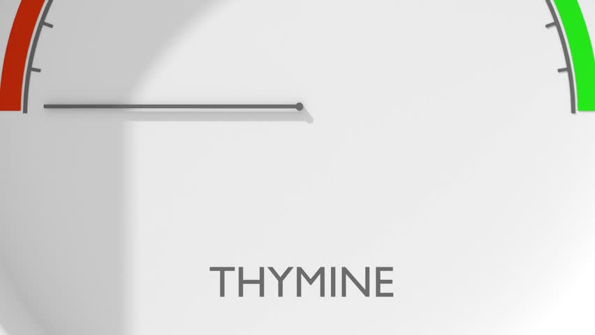 Chemical structural formula of thymine- DNA and RNA nitrogen base. Meter with level scale. Concept of medicine and pharmacy.