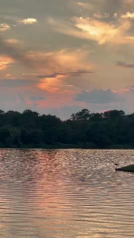 Nature view by sunset over a Woodlands lake, Houston, Texas with an egret by the coast	
