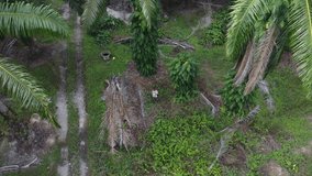 Aerial footage of a man flying drone around the isolated farm where outskirt is the suburban area. - Powered by Shutterstock - Get 15% off with code: PIKWIZARD15
