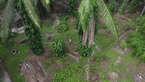 Aerial footage of a man flying drone around the isolated farm where outskirt is the suburban area. - Powered by Shutterstock - Get 15% off with code: PIKWIZARD15