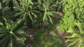 Aerial footage of a man flying drone around the isolated farm where outskirt is the suburban area. - Powered by Shutterstock - Get 15% off with code: PIKWIZARD15