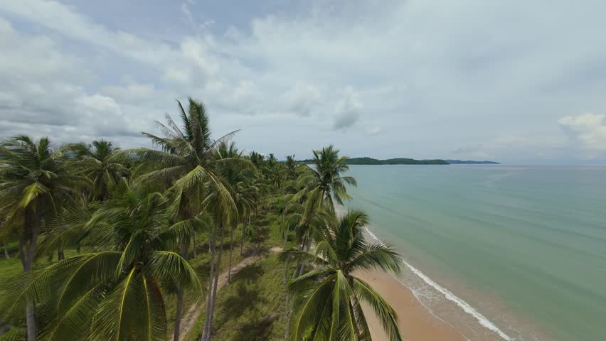 Fast FPV drone races low along the shoreline, threading above coconut crowns on Long Beach in San Vicente, Palawan, Philippines.