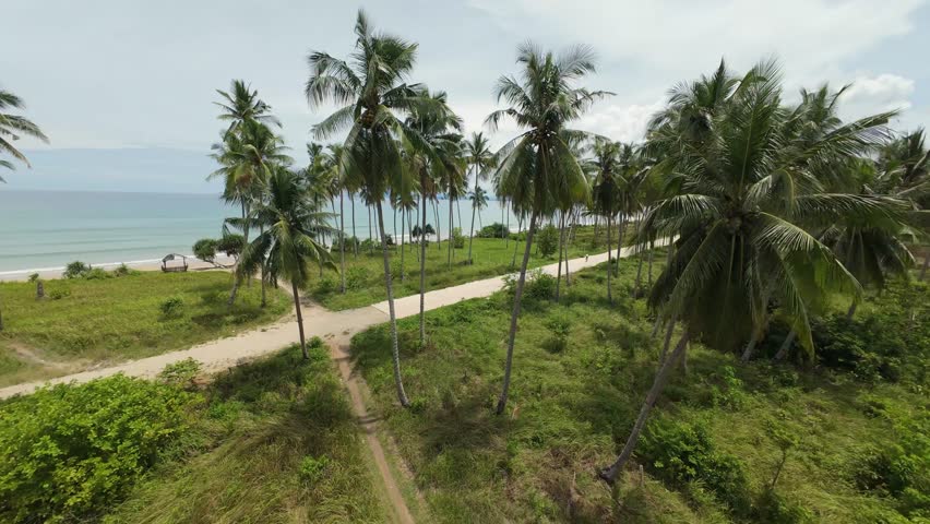 High-speed FPV drone weaves between coconut palms beside the shoreline of Long Beach in San Vicente, Palawan, Philippines, skimming low along the coast.