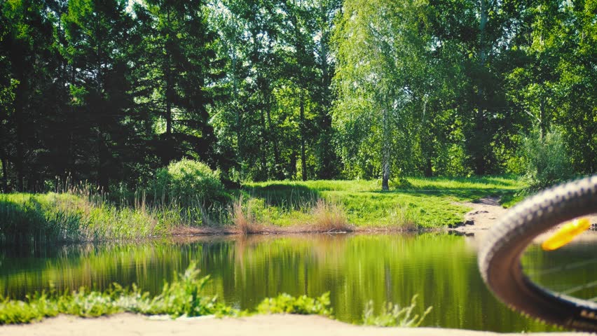 Bicycle, pond and pigeons flying over water, slow motion. Summer time, rest, sunny warm weather and bicycle rides.