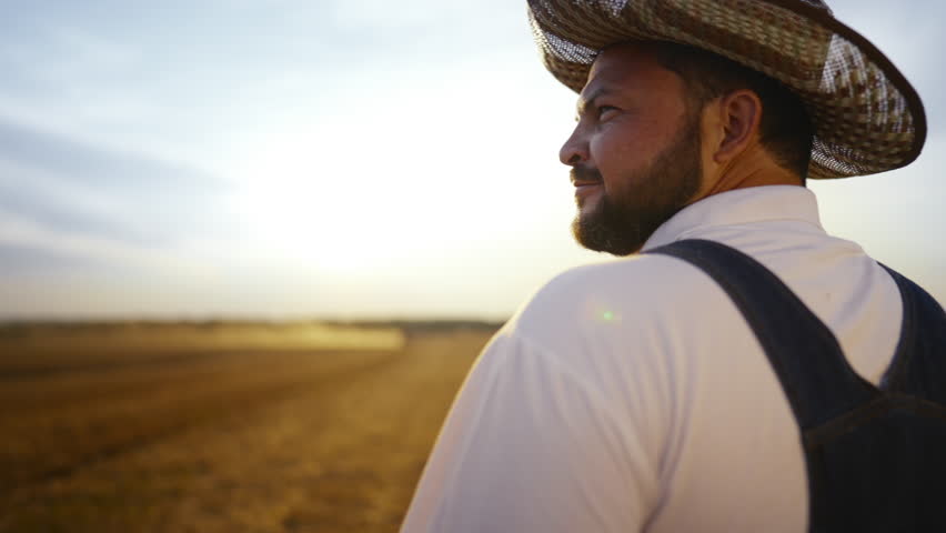 Agriculture and farming lifestyle, farmer walking to horizon, medium back view. Cinematic slow motion, countryman admiring rural scenery, look for own way and move to dream, endless golden fields