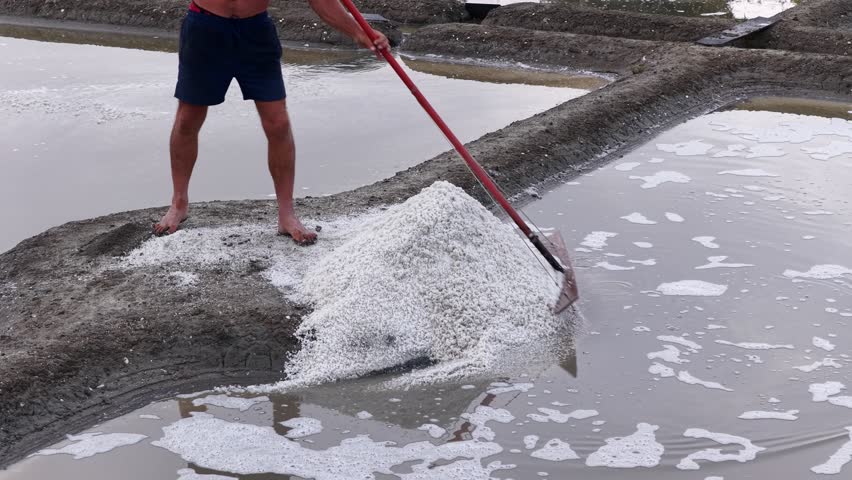 Guérande salt marshes, Loire Atlantique, France