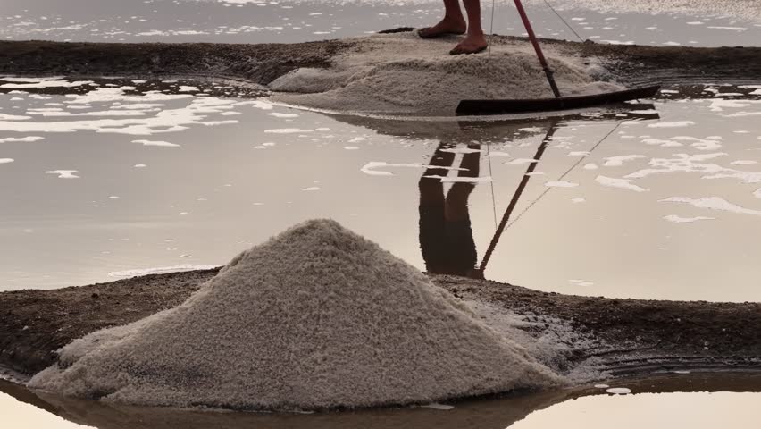 Guérande salt marshes, Loire Atlantique, France