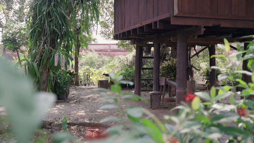 A traditional wooden Thai stilt house stands elevated on posts, surrounded by lush greenery and garden plants