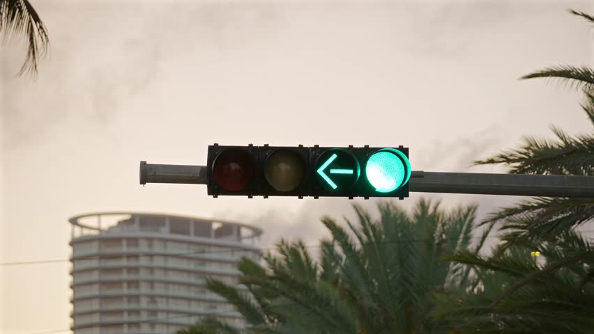 Green Traffic Light with Arrow and Palm Trees Miami Beach