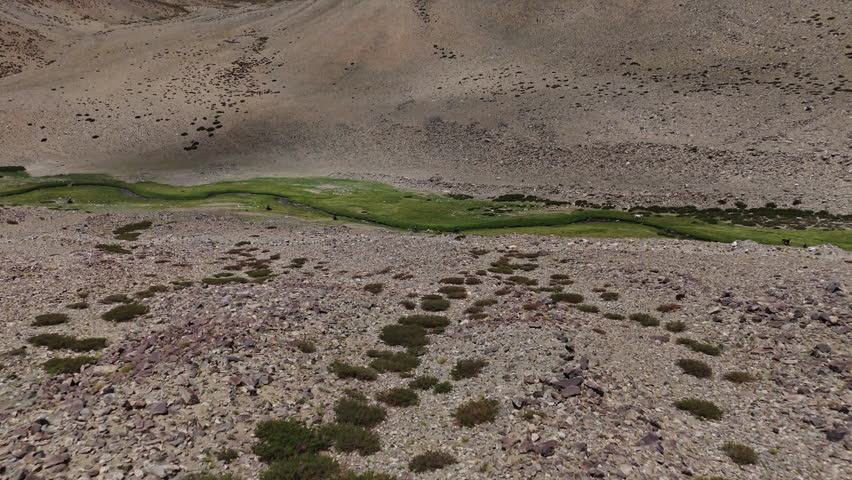 Riders and Wild Horses on Tibetan Plateau Drone View