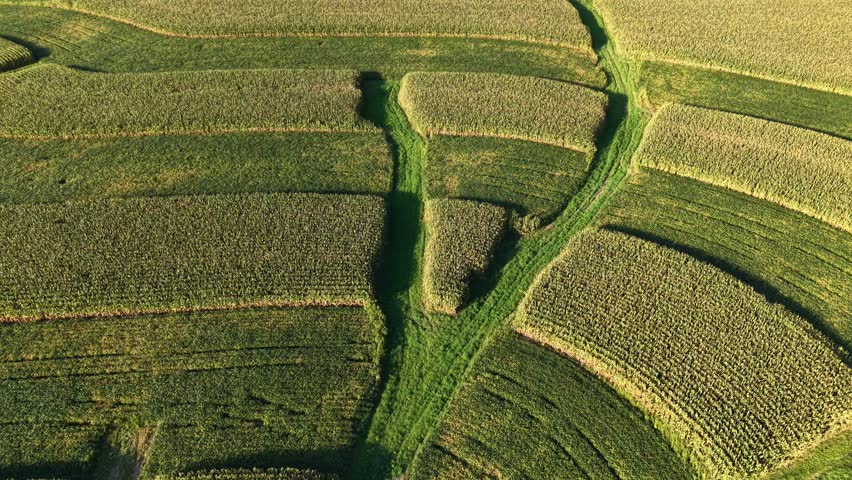 Wisconsin Contour Farm Field. Contour Farming is a conservation practice that involves performing farming operations across a field’s slope, as close to the contour as possible.