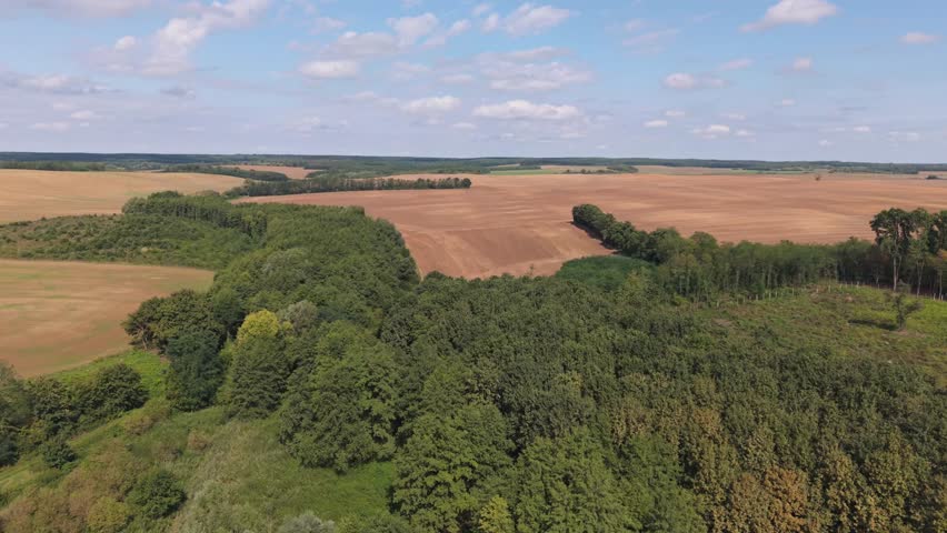 An aerial video showing wide stretches of farmland bordered by dense green forest. The contrast between the cultivated fields and the natural woodland creates a striking rural landscape.