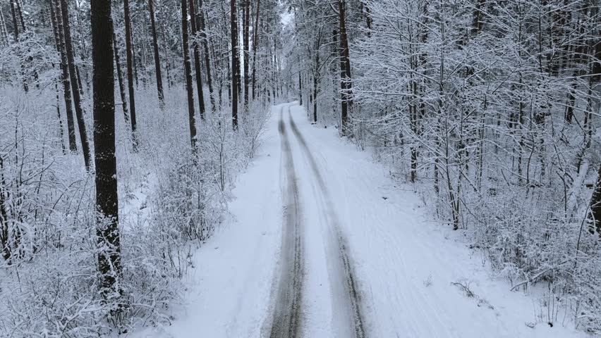 Aerial forward view of winter road lined with snowy pine trees, Northern Europe