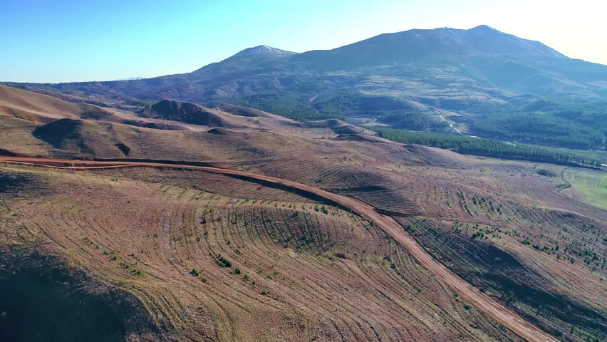 Beautiful nature, hilly terrain forestation process, aerial view