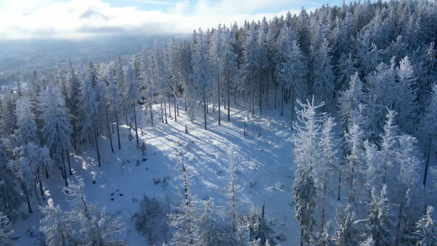 frost mountains forest drone view winter snow