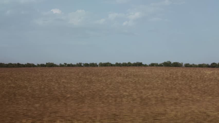 Rye and wheat growing in a field in autumn against the backdrop of landscape and nature. View from the window of a moving train to nature. Copy space for text, travel