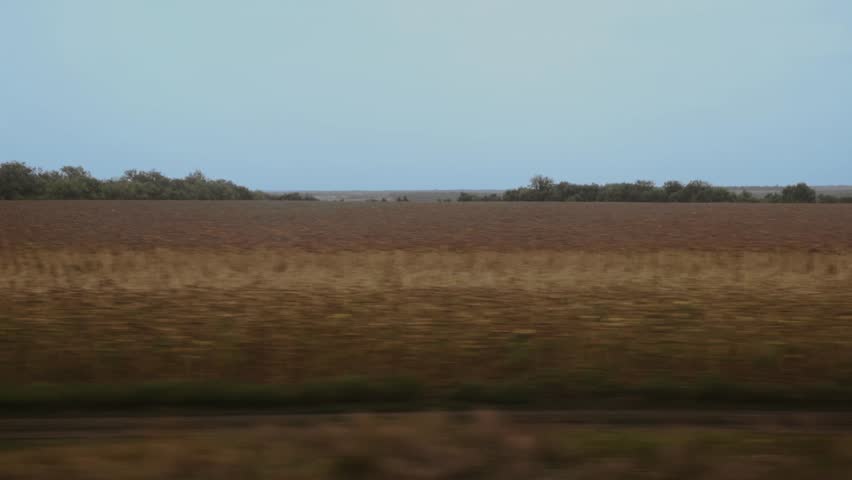 Rye and wheat growing in a field in autumn against the backdrop of landscape and nature. View from the window of a moving train to nature. Copy space for text, travel