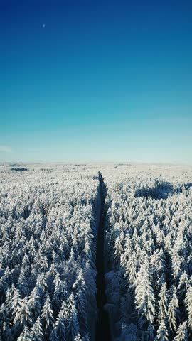 Flying over straight asphalt car road through mountains and pine tree forest at winter. Vertical video. Aerial view of tree tops covered in snow in South Germany, Black Forest